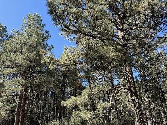 Lot 864 Conchas Drive