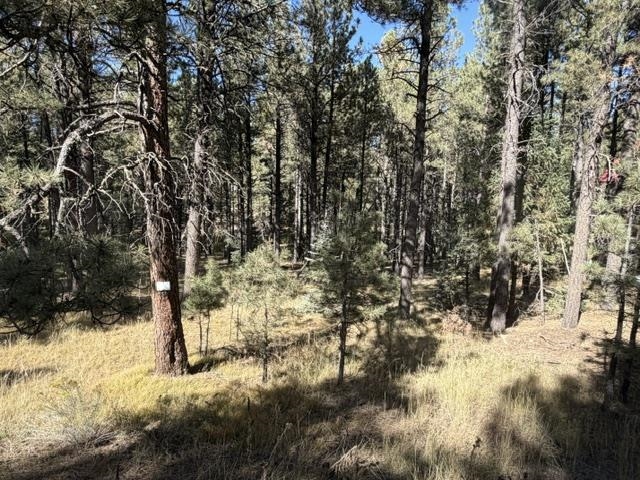 Lot 864 Conchas Drive