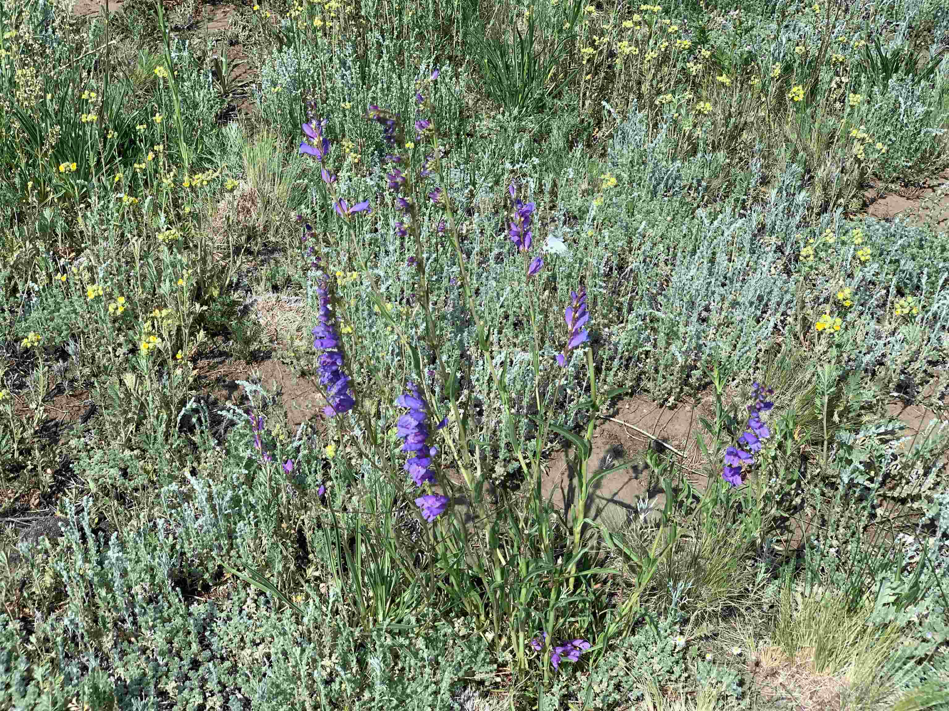 2 Stricks Rd, Angel Fire, New Mexico image 7