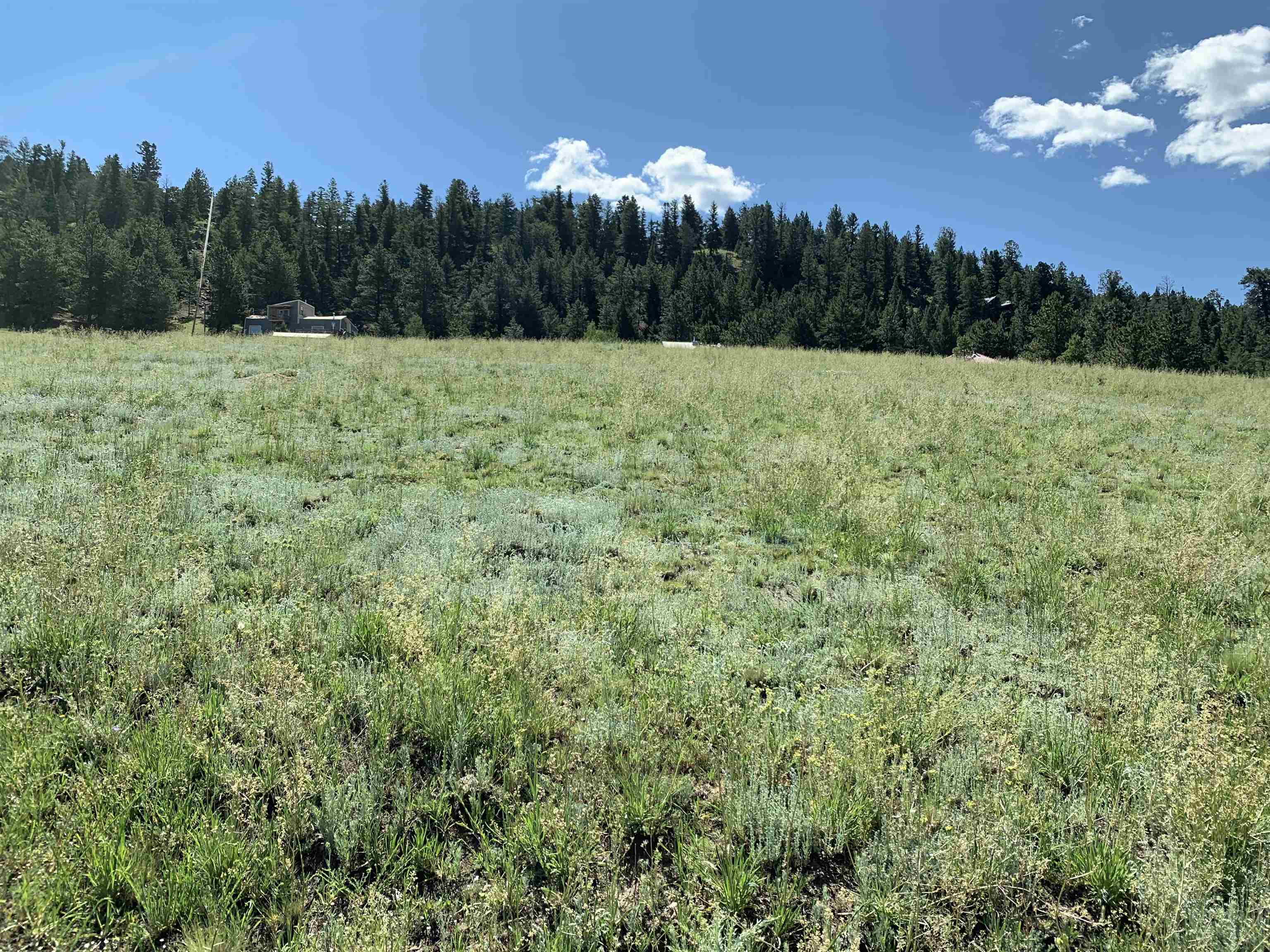 2 Stricks Rd, Angel Fire, New Mexico image 2