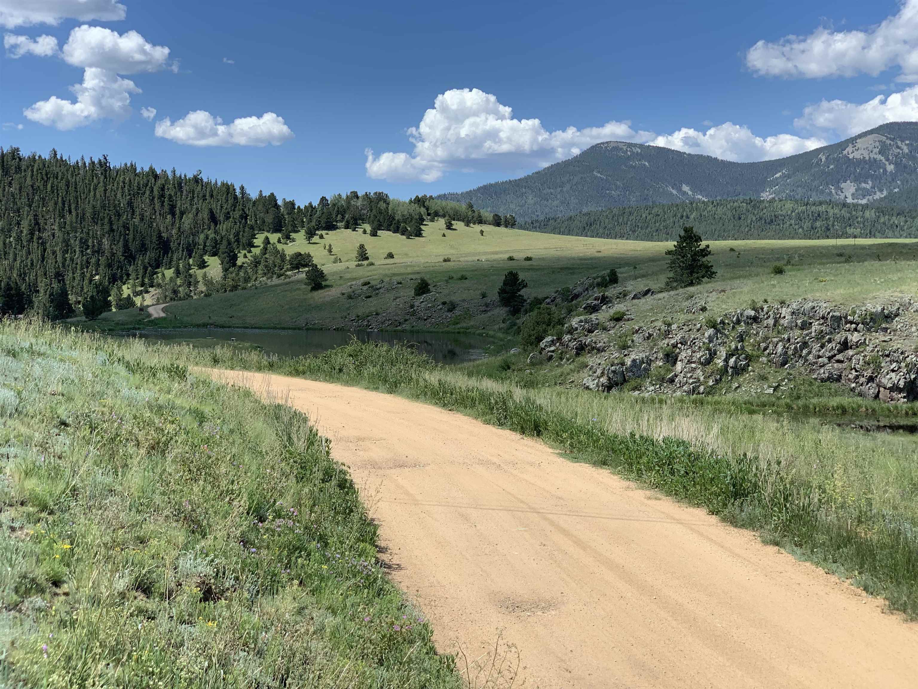 2 Stricks Rd, Angel Fire, New Mexico image 3