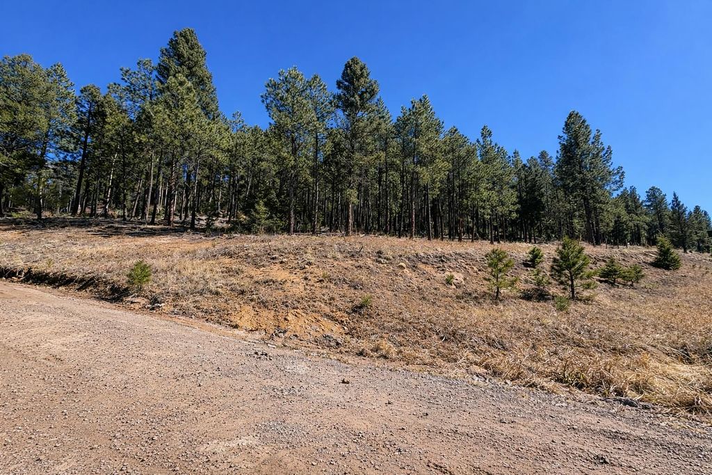 Photo of 1528 Colfax Terrace, Angel Fire, NM 87710 (MLS # 114690)
