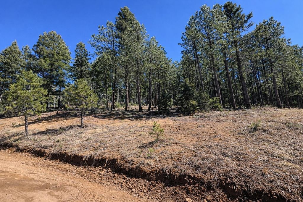 Photo of 1528 Colfax Terrace, Angel Fire, NM 87710 (MLS # 114690)