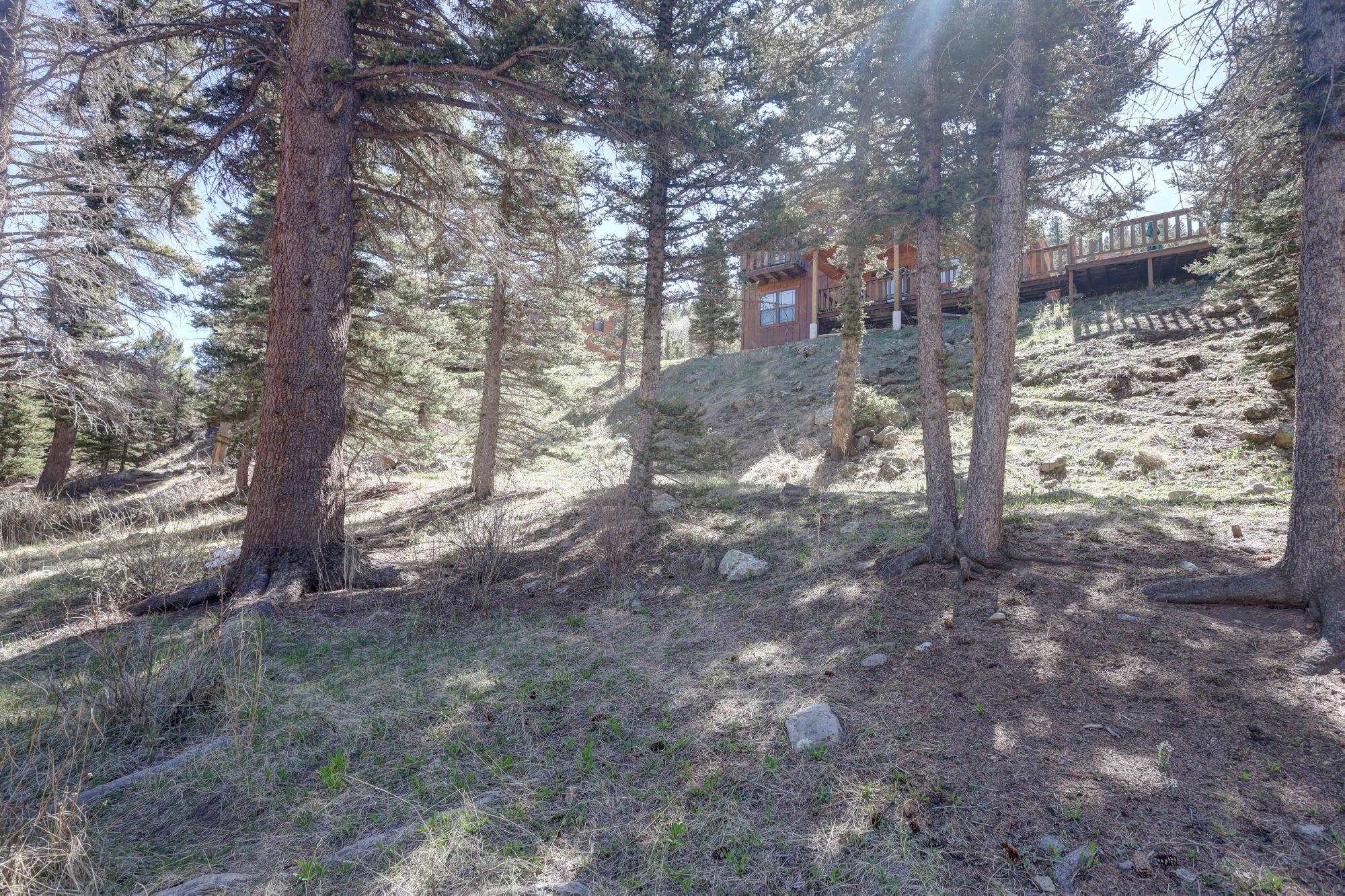 33 Upper Red River Valley Rd, Red River, New Mexico image 22