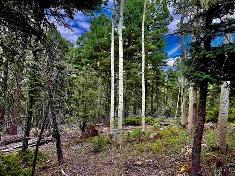 Vacant Land For Sale - LOT 275 Vermejo Circle<br/> Colfax County, Angel Fire, NM 87710