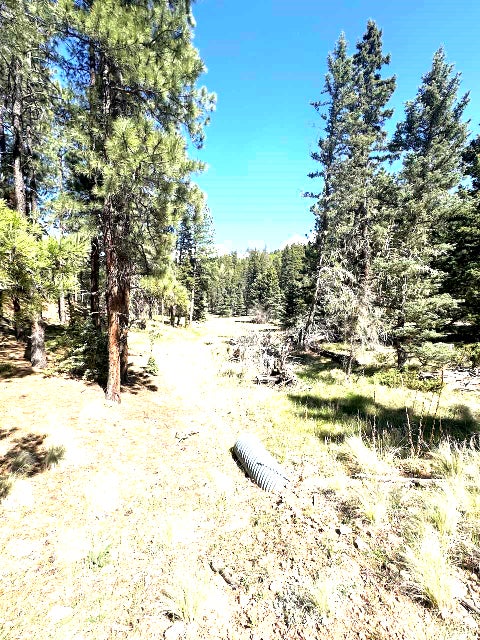 Vacant Land For Sale - LOT 58 Calle De Los Indios<br/> Angel Fire, NM 87710