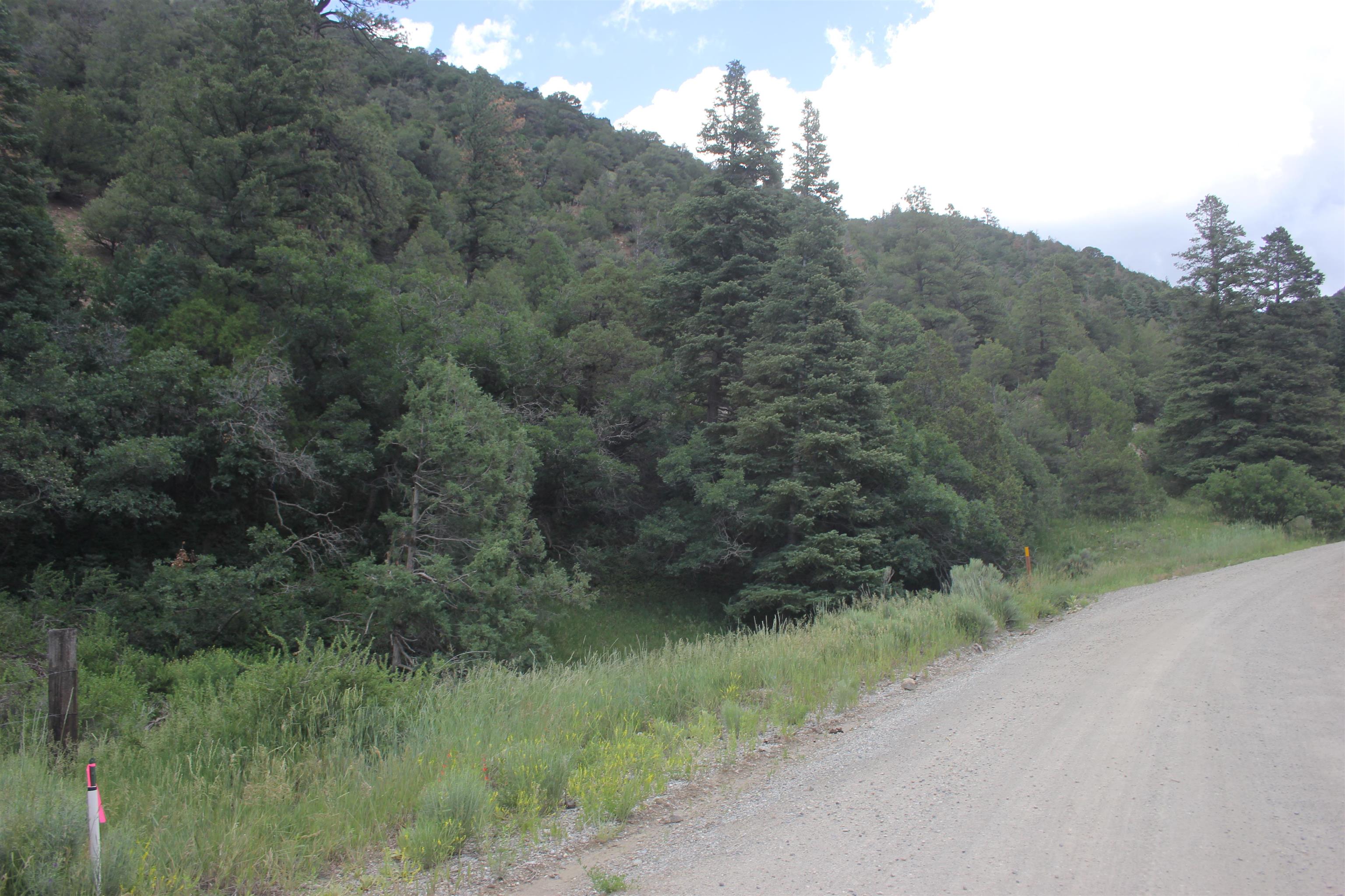 5 Acres Cabresto Canyon, Questa, New Mexico image 4