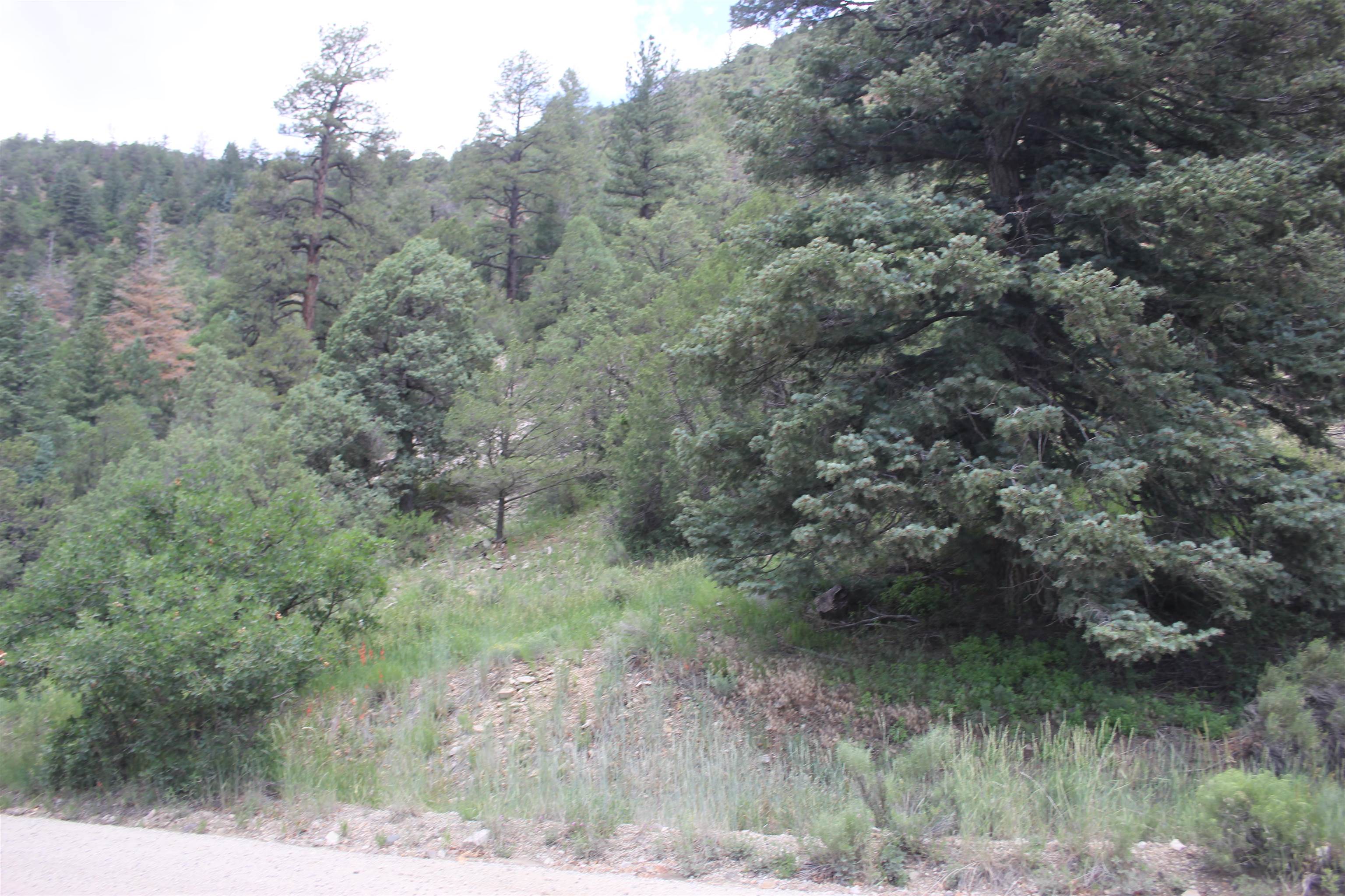 5 Acres Cabresto Canyon, Questa, New Mexico image 3