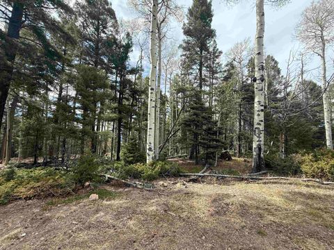 Vacant Land For Sale - LOT 13 Back Basin Rd<br/> Angel Fire, NM 87710