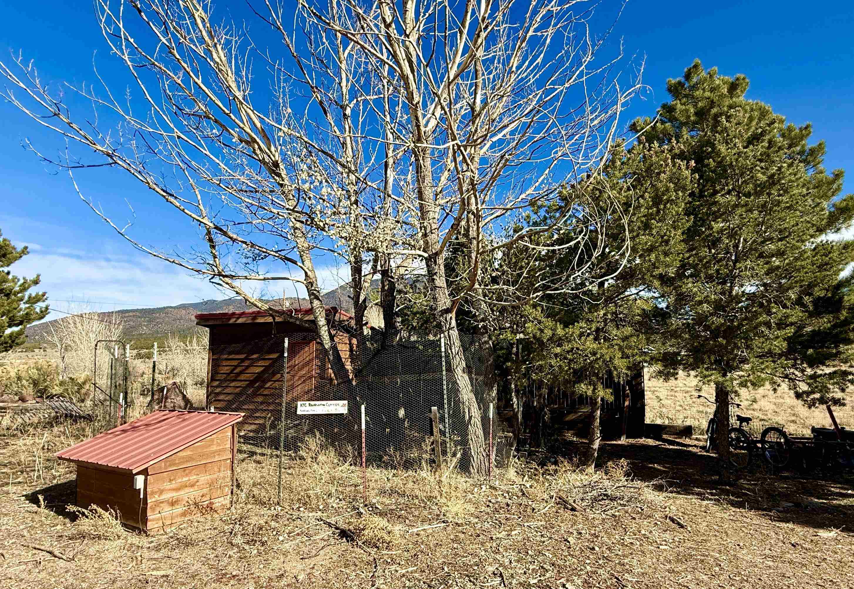 41 Llano Rd, Questa, New Mexico image 38