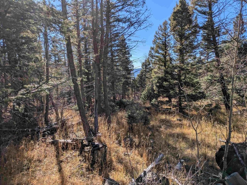 Photo of Lot 1369 Skyview Way, Angel Fire, NM 87710 (MLS # 114163)