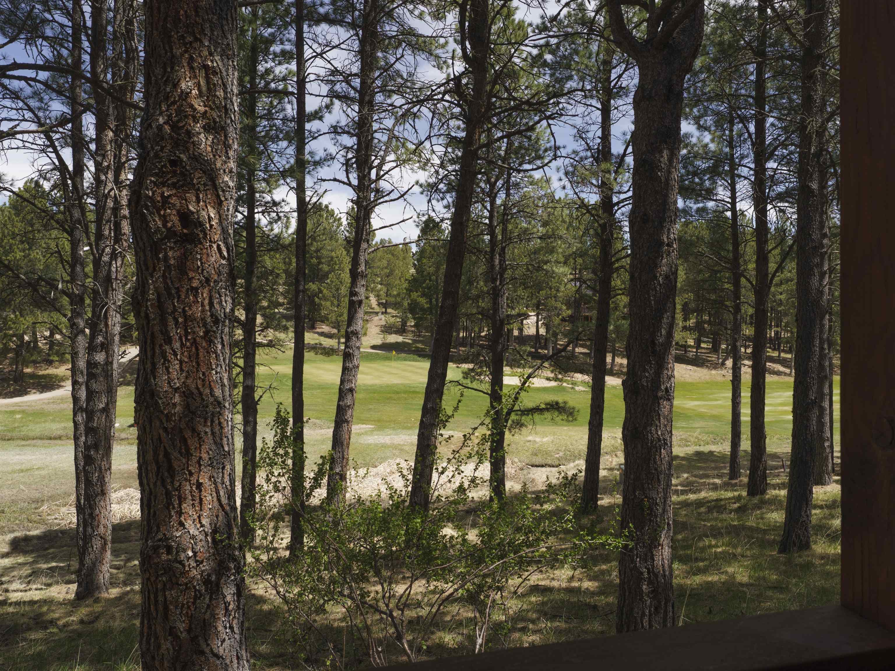 66 Spyglass Hill Road, Angel Fire, New Mexico image 32