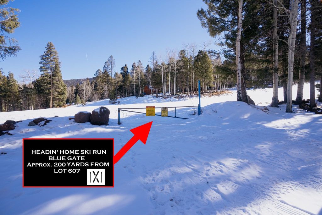 Photo of Lot 607 Panorama Way North, Angel Fire, NM 87710 (MLS # 114679)