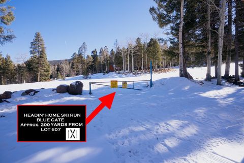 Vacant Land For Sale - LOT 607 Panorama Way North<br/> Angel Fire, NM 87710