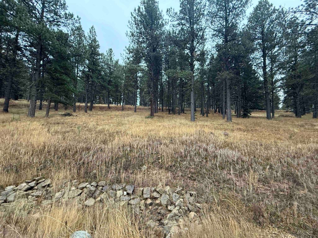 Photo of Lot 1305 Sierra Blanca Dr, Angel Fire, NM 87710 (MLS # 114316)