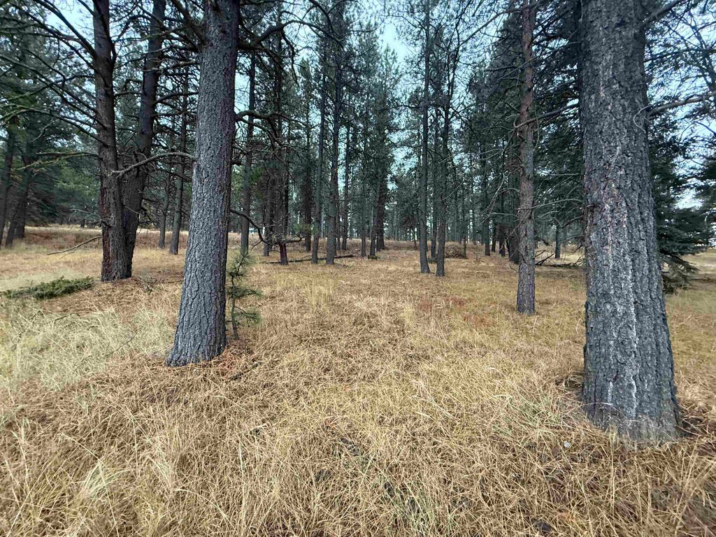 Photo of Lot 1305 Sierra Blanca Dr, Angel Fire, NM 87710 (MLS # 114316)