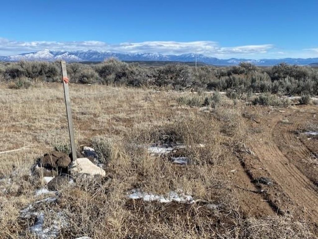 Photo of Lot 518 and 519 Amarillo Rd, Tres Piedras, NM 87577 (MLS # 114610)