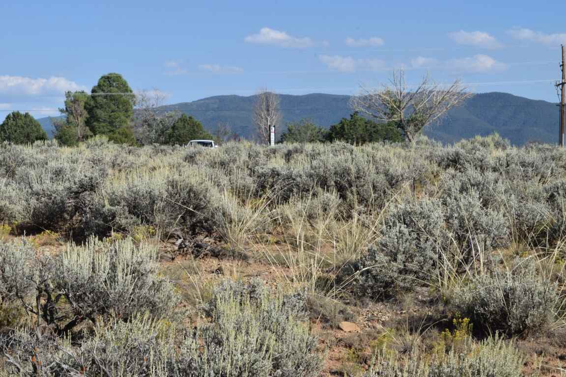 Tr A2 Blueberry Hill, El Prado, New Mexico image 14