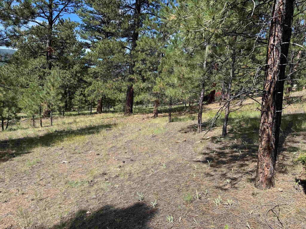 Photo of Lot 18 Upper Rd, Black Lake, NM 87710 (MLS # 113939)