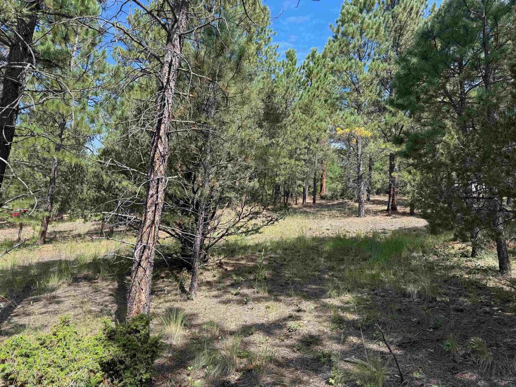 Photo of Lot 18 Upper Rd, Black Lake, NM 87710 (MLS # 113939)