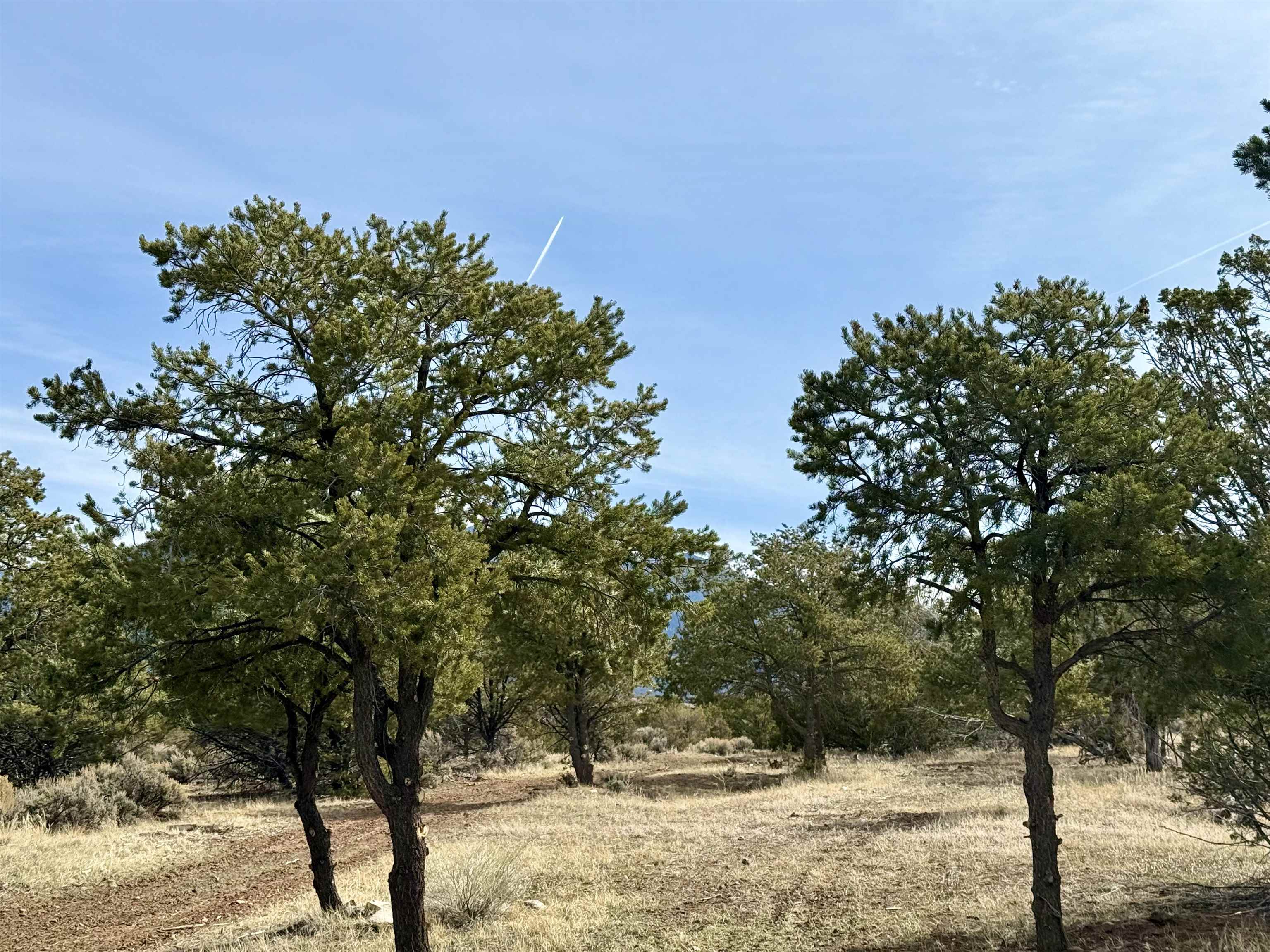 11 Camino De Adelaida Los Pinos Park, Arroyo Seco, New Mexico image 31