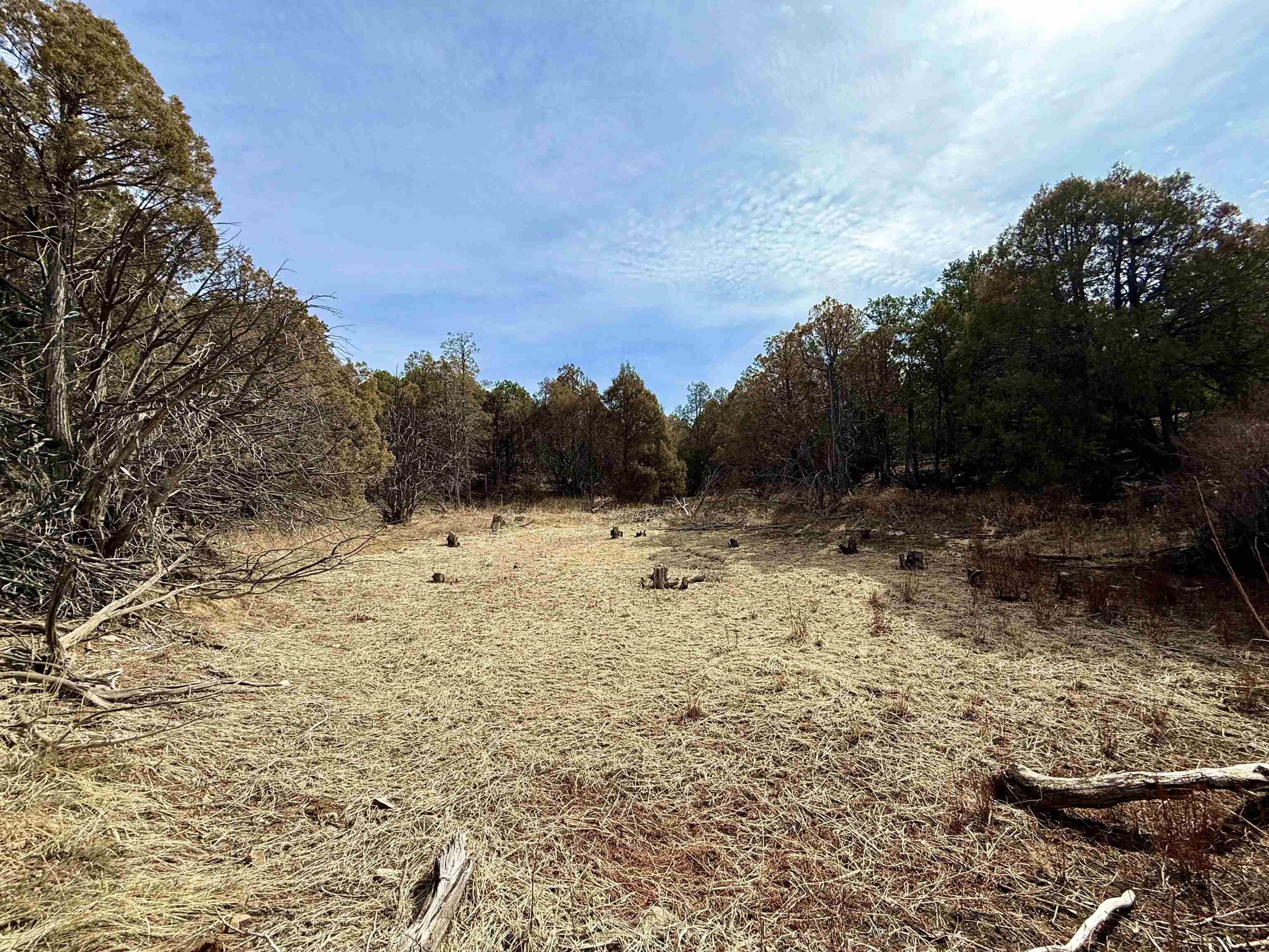 11 Camino De Adelaida Los Pinos Park, Arroyo Seco, New Mexico image 38