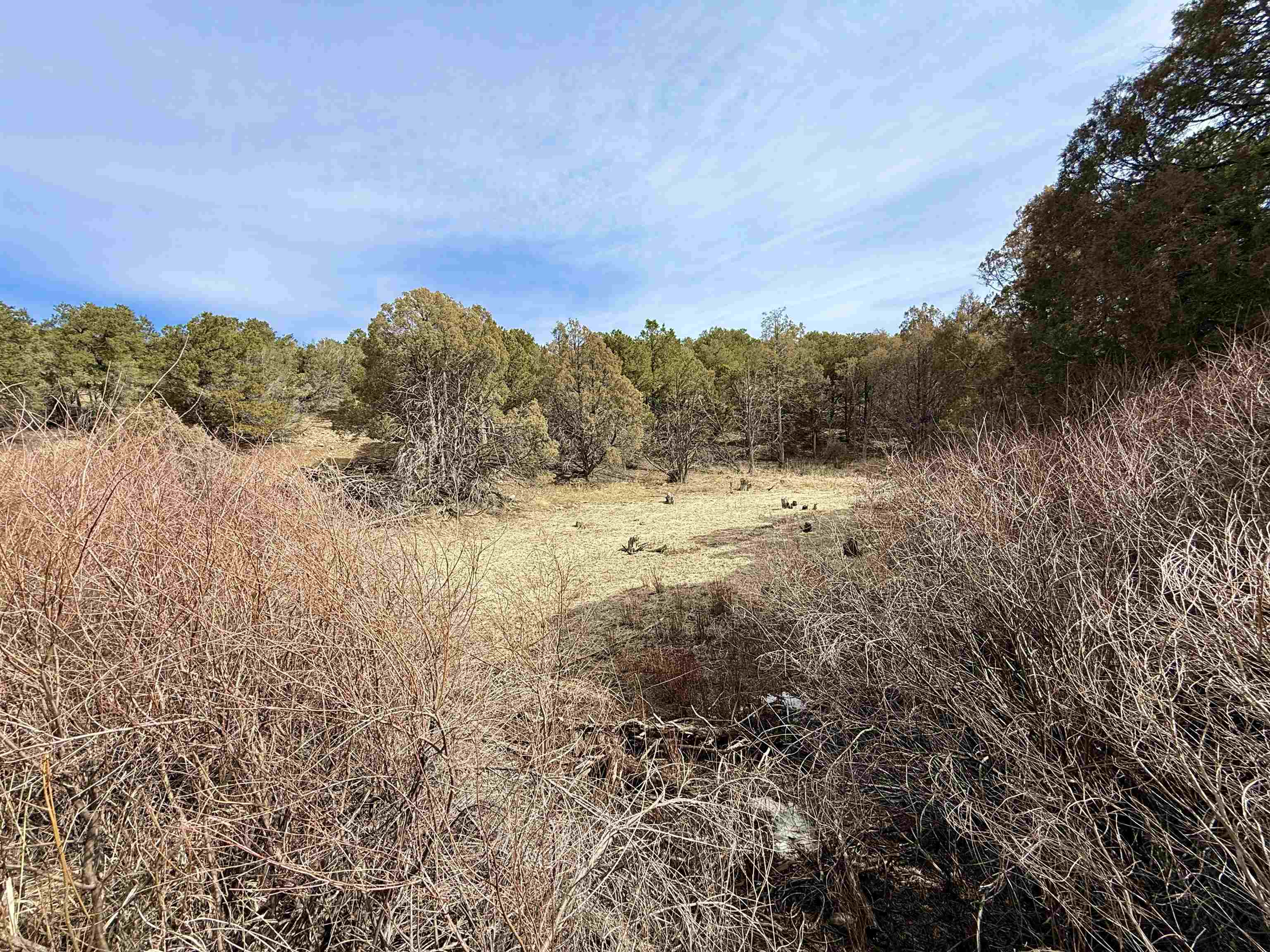 11 Camino De Adelaida Los Pinos Park, Arroyo Seco, New Mexico image 36