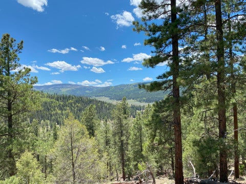 Vacant Land For Sale - XX Taos Canyon<br/> Taos, NM 87571