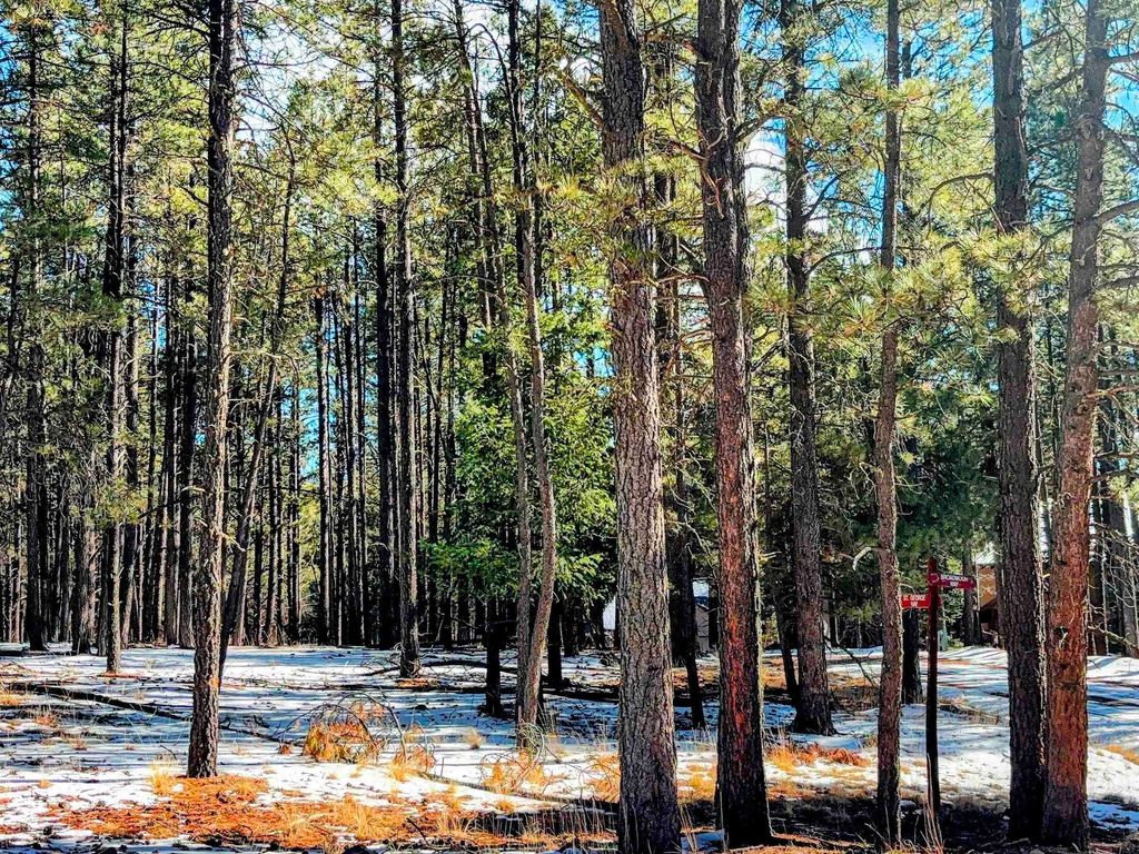 Photo of Lot 6 Broadmoor Way, Angel Fire, NM 87710 (MLS # 114599)