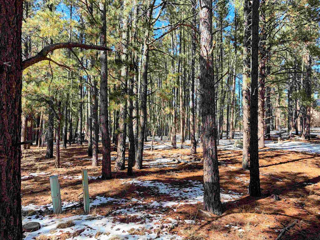 Photo of Lot 6 Broadmoor Way, Angel Fire, NM 87710 (MLS # 114599)