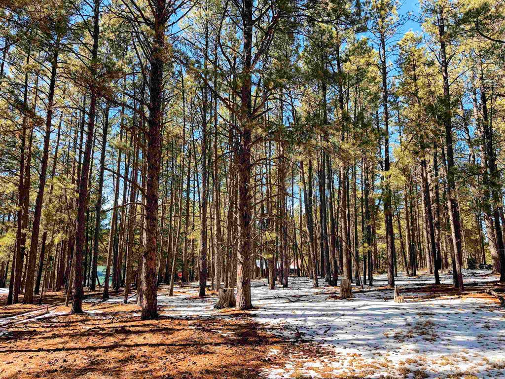 Photo of Lot 6 Broadmoor Way, Angel Fire, NM 87710 (MLS # 114599)