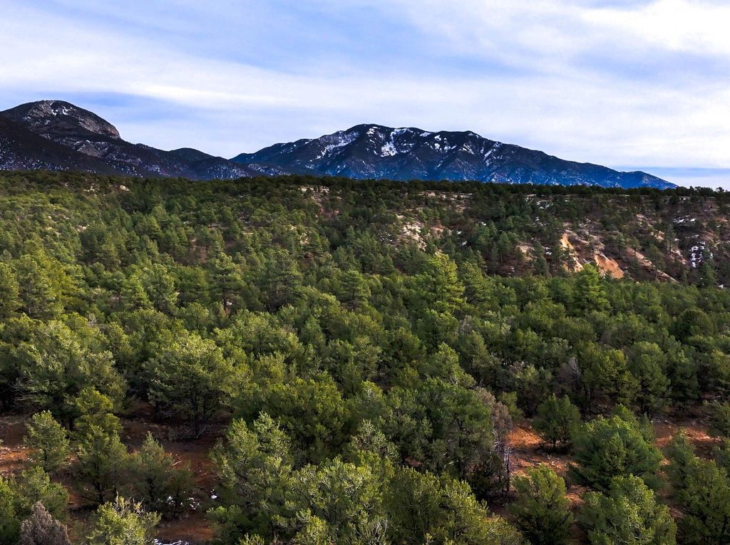 Photo of TBD Gallina Canyon, Valdez, NM 87571 (MLS # 114440)