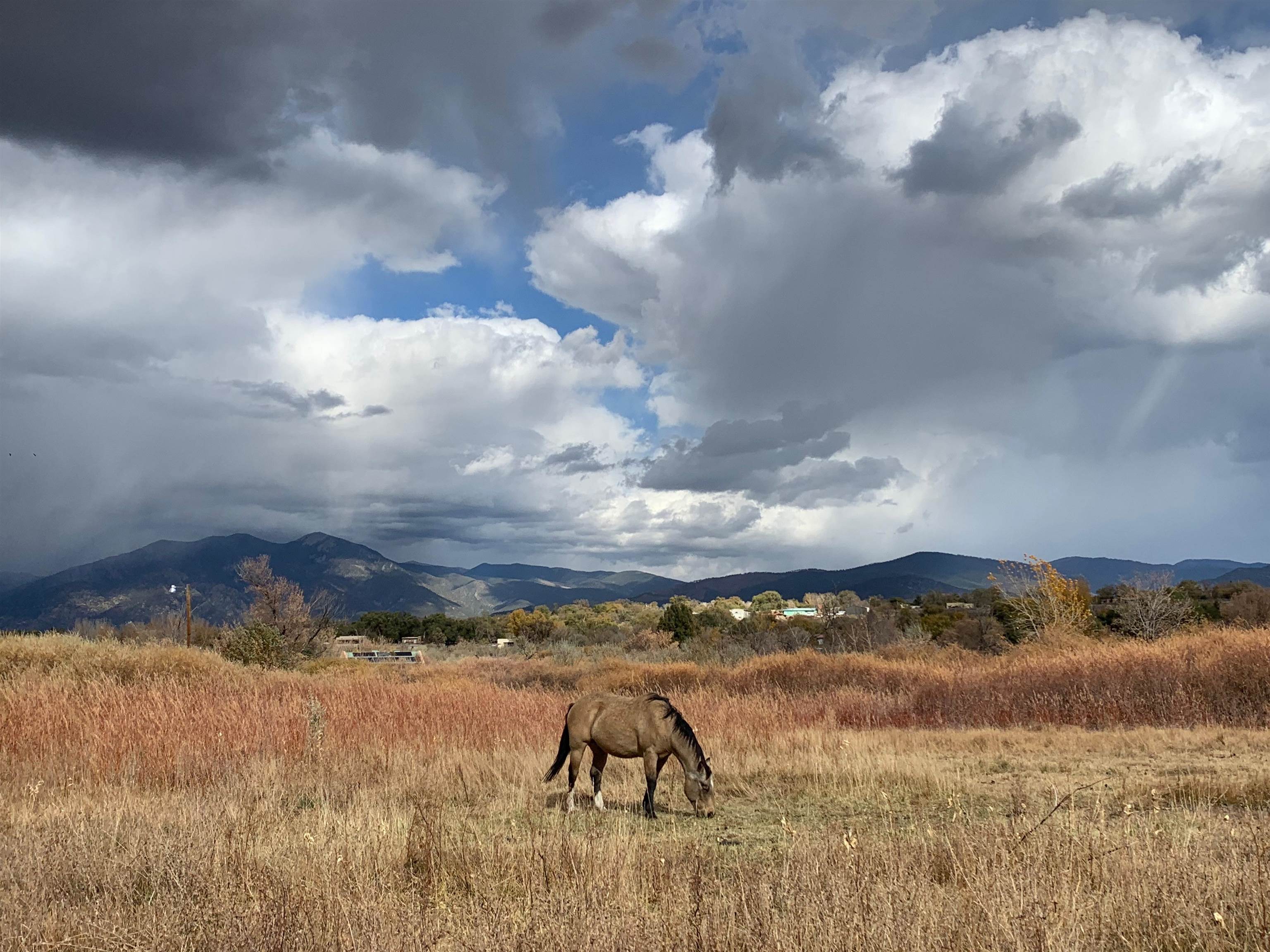10 Camino De Rafael, Ranchos de Taos, New Mexico image 1