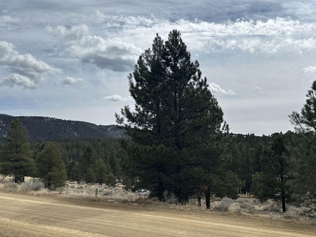 Photo of Lot 1288 Torrey Pines Ln, Angel Fire, NM 87710 (MLS # 113095)