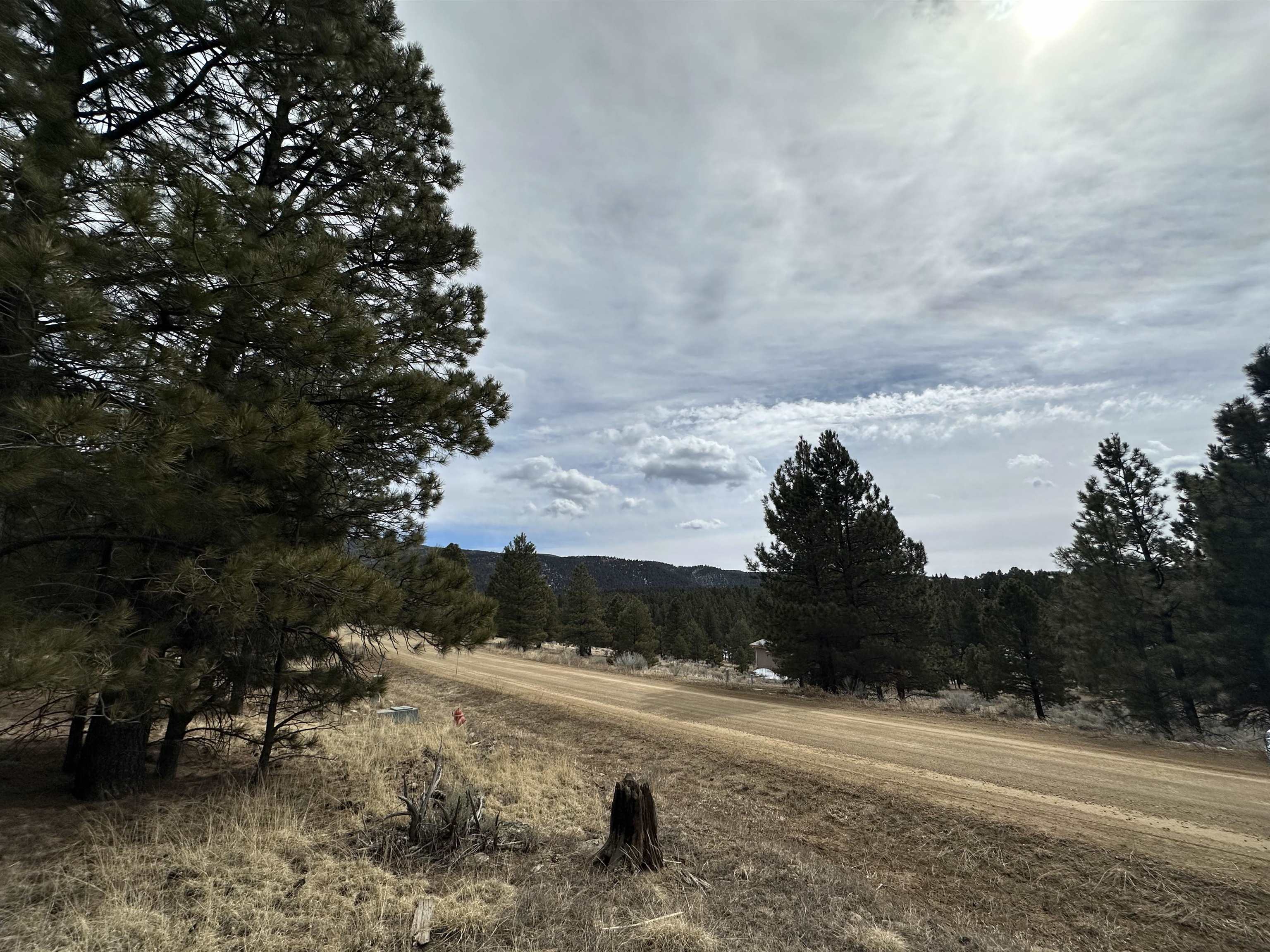 Lot 1288 Torrey Pines Ln, Angel Fire, New Mexico image 3