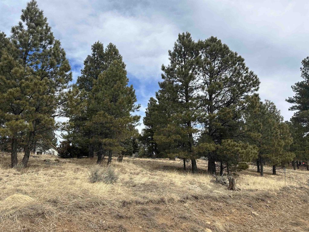 Photo of Lot 1288 Torrey Pines Ln, Angel Fire, NM 87710 (MLS # 113095)