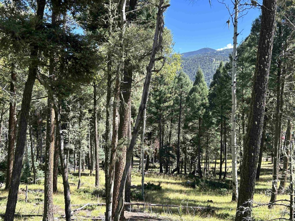Photo of Lot 26 Calle de los Indios, Angel Fire, NM 87710 (MLS # 113999)
