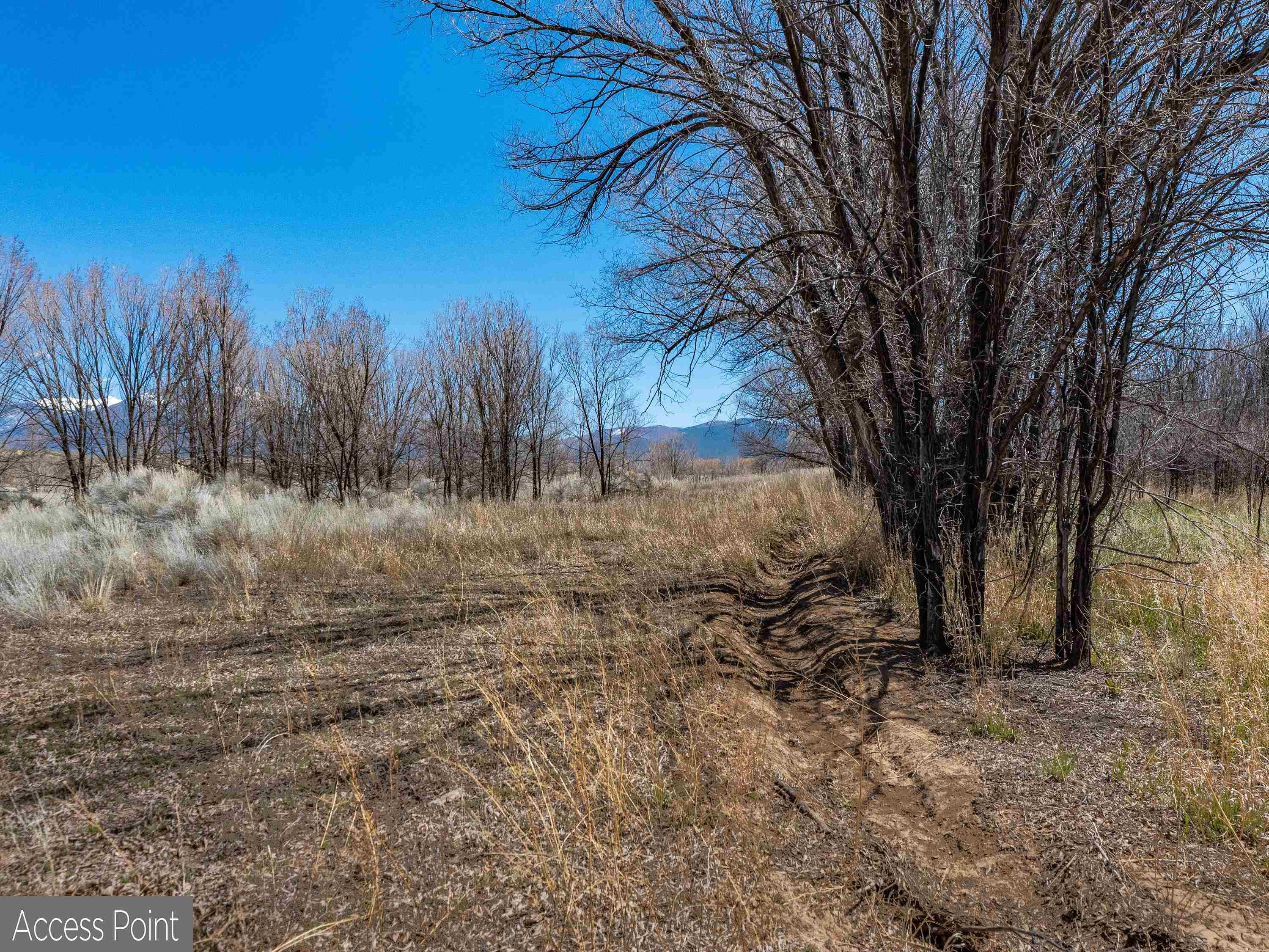 Ranchos De Taos, New Mexico 87557, United States, ,Land,Active,117661