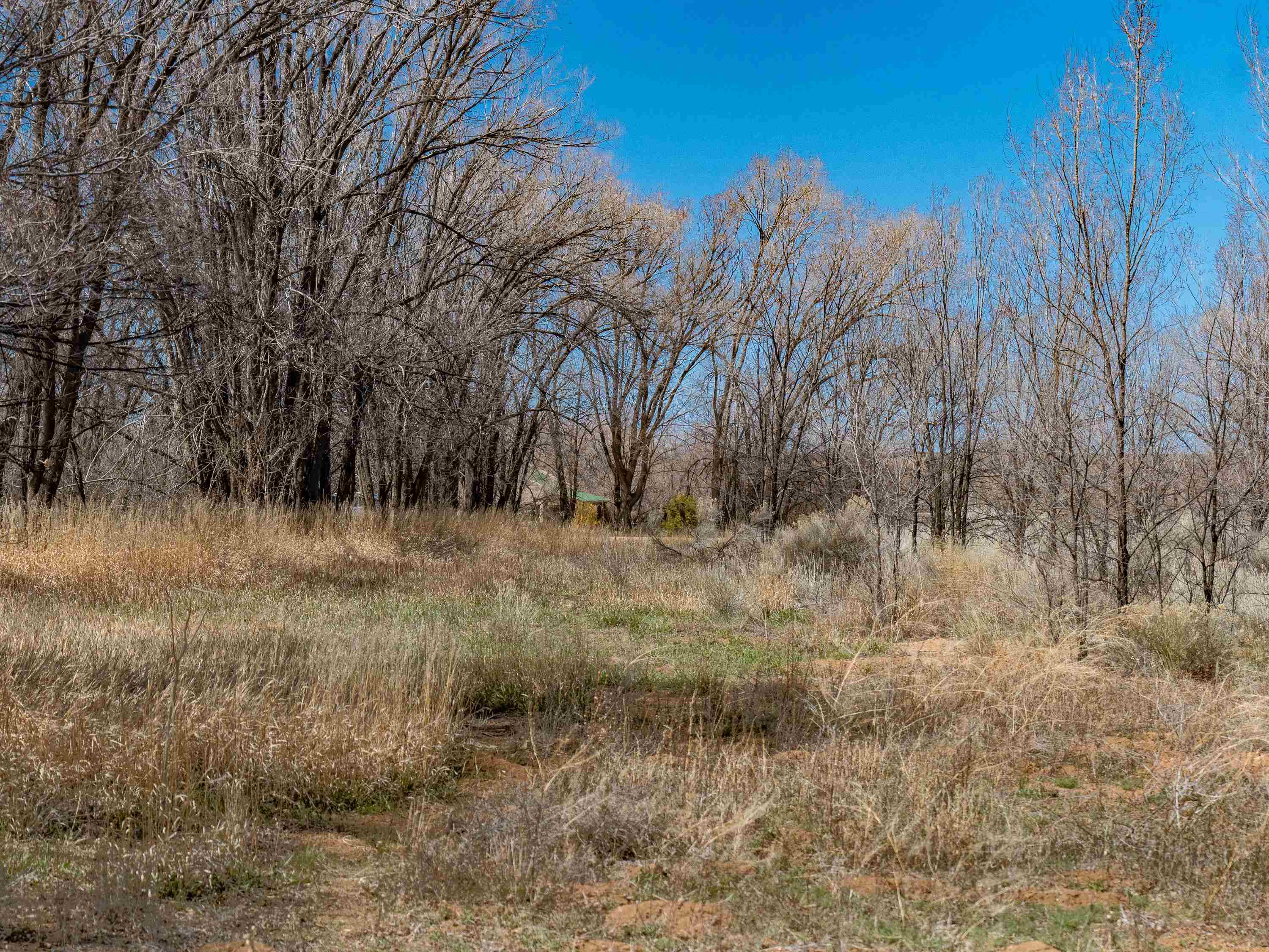 Ranchos De Taos, New Mexico 87557, United States, ,Land,Active,117661