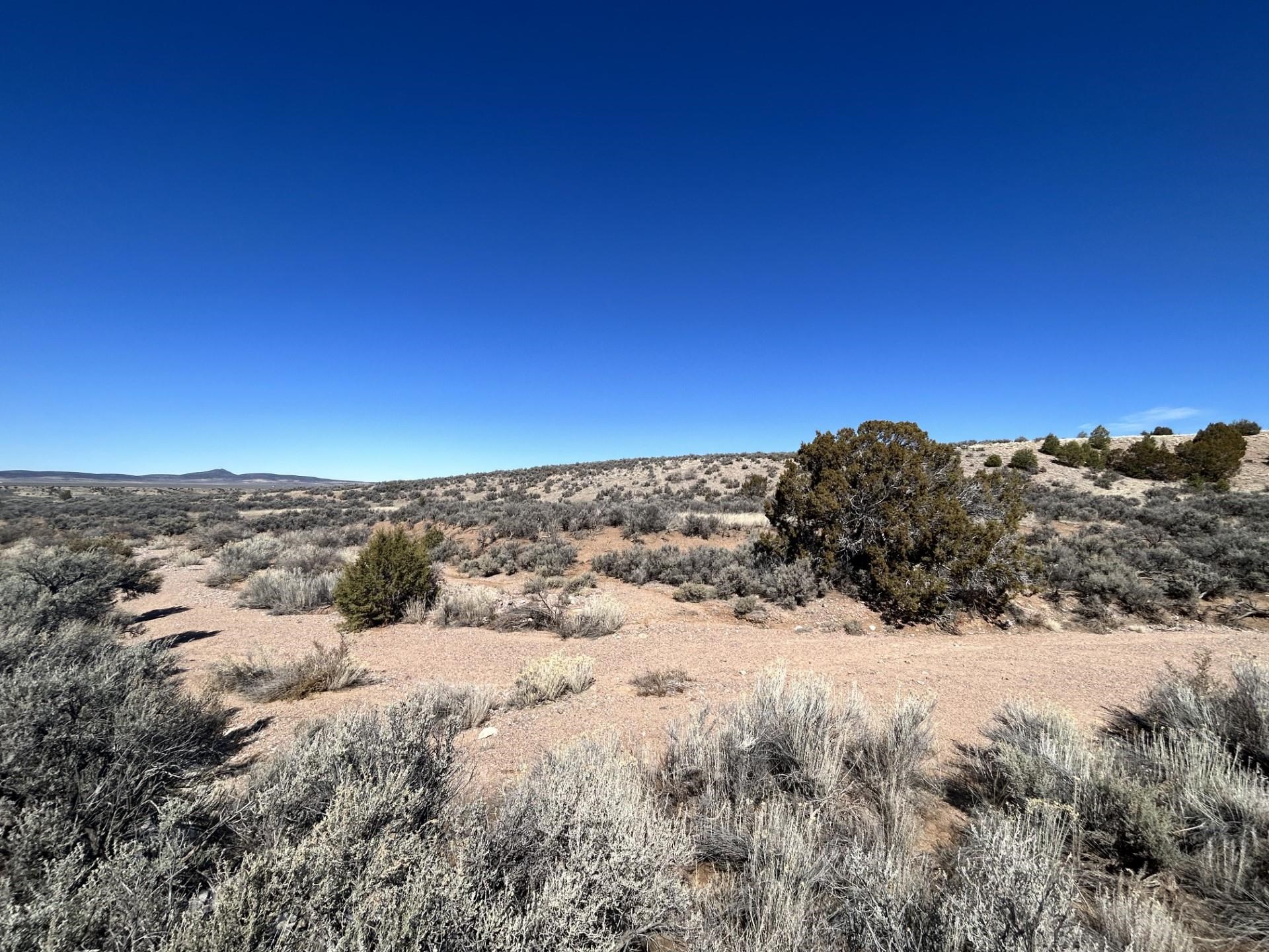 Lot 10L Ranchos Orchard, Ranchos de Taos, New Mexico image 3