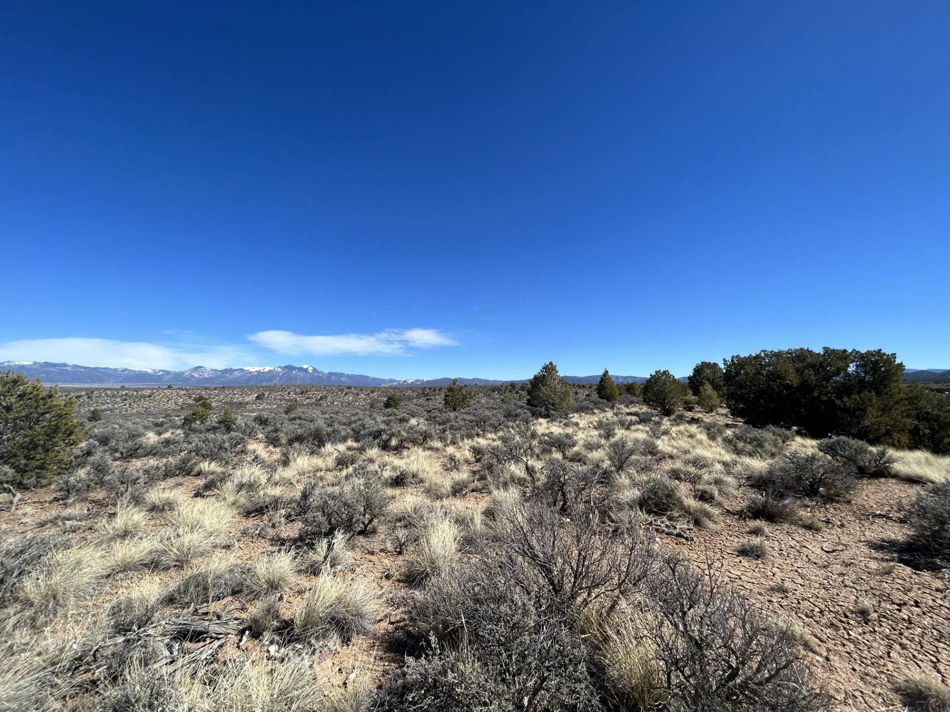 Lot 10L Ranchos Orchard, Ranchos de Taos, New Mexico image 9