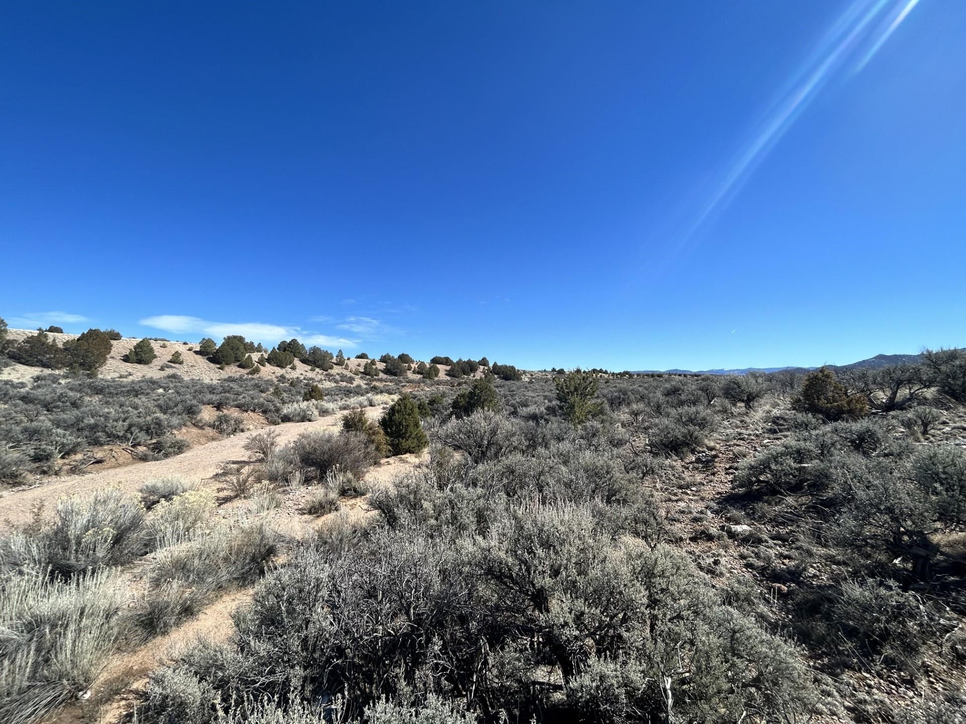 Lot 10L Ranchos Orchard, Ranchos de Taos, New Mexico image 5