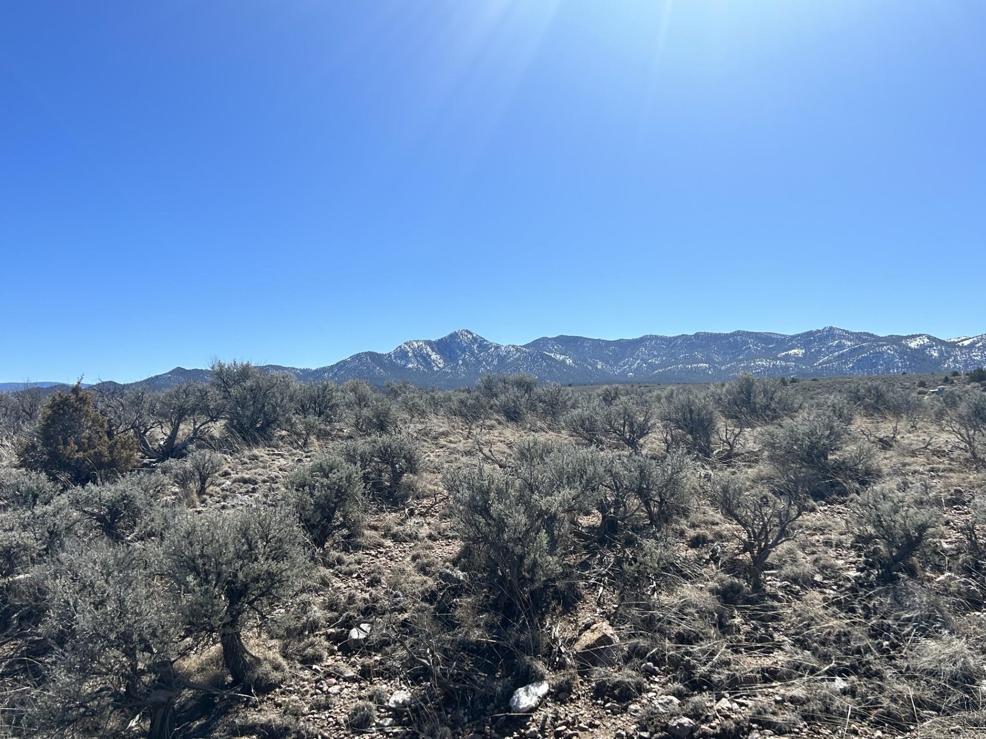 Lot 10L Ranchos Orchard, Ranchos de Taos, New Mexico image 6