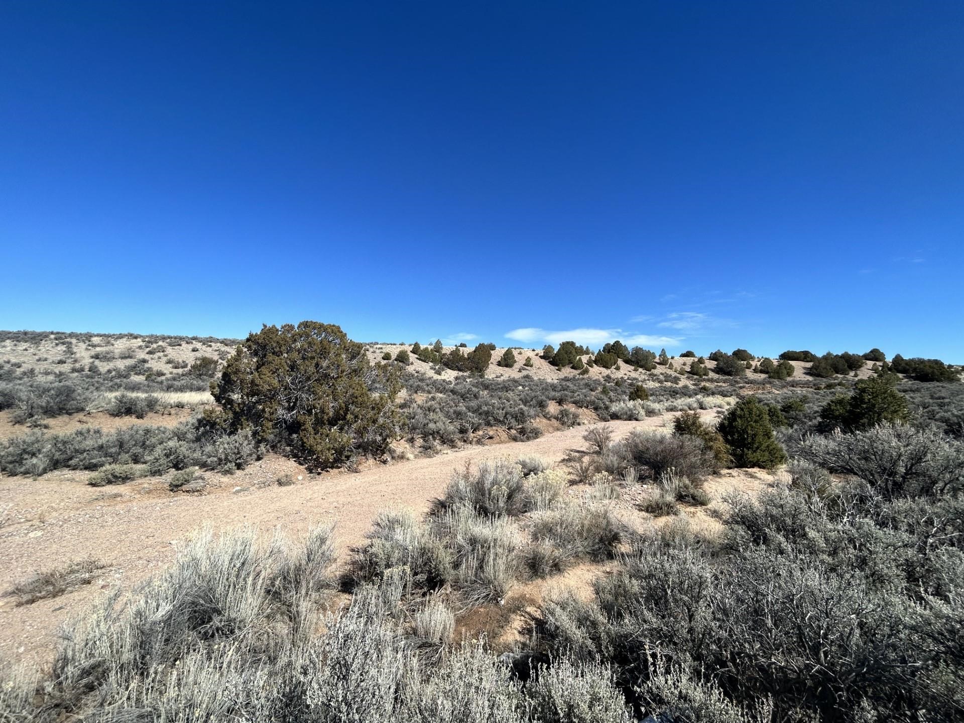 Lot 10L Ranchos Orchard, Ranchos de Taos, New Mexico image 4