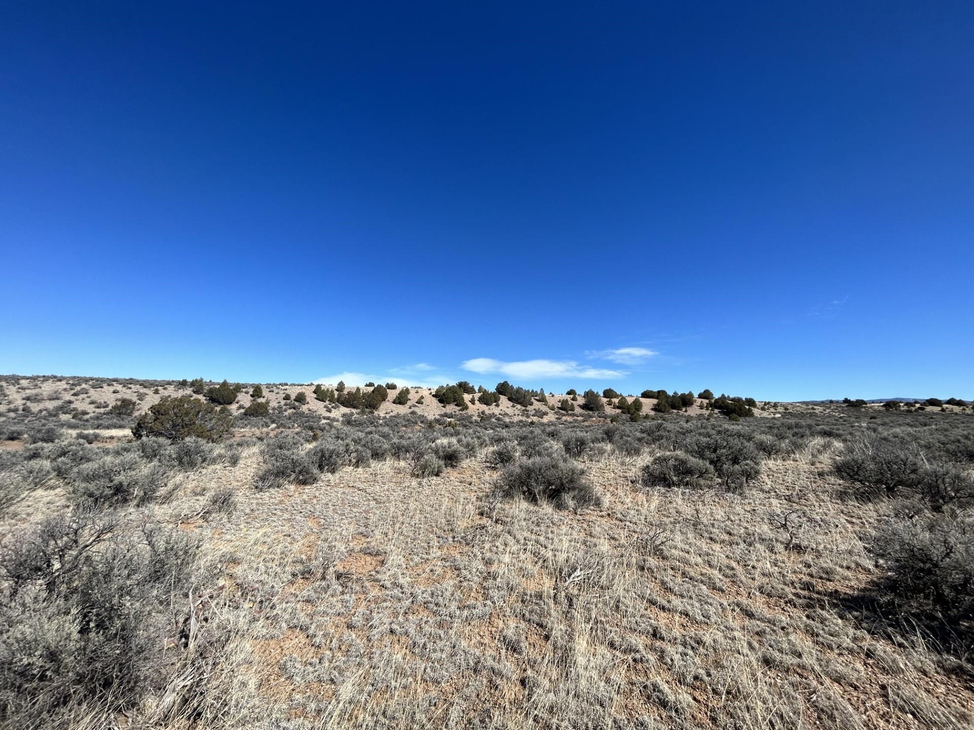 Lot 10L Ranchos Orchard, Ranchos de Taos, New Mexico image 7