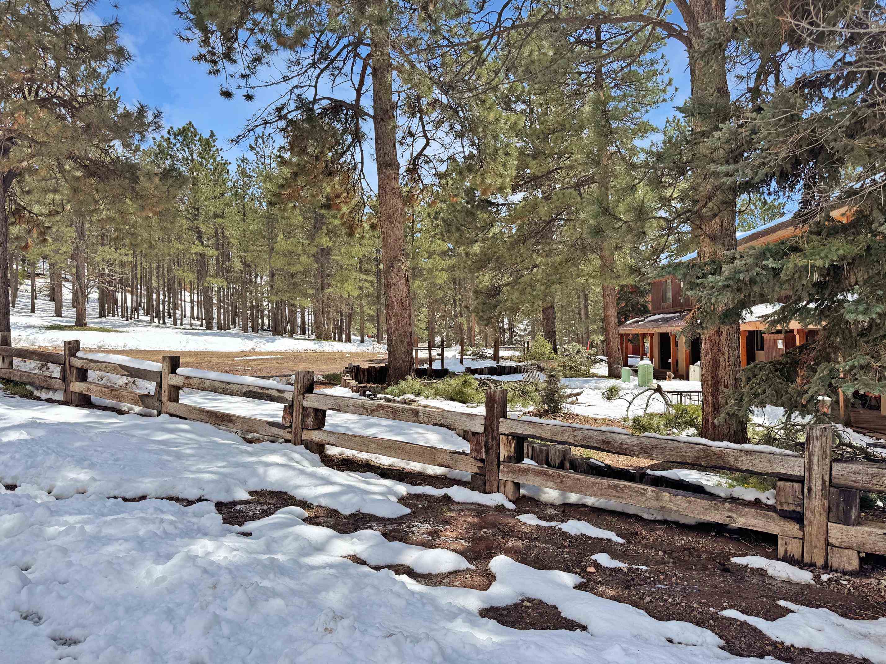 17 Jackson Hole Rd #A-3, Angel Fire, New Mexico image 18
