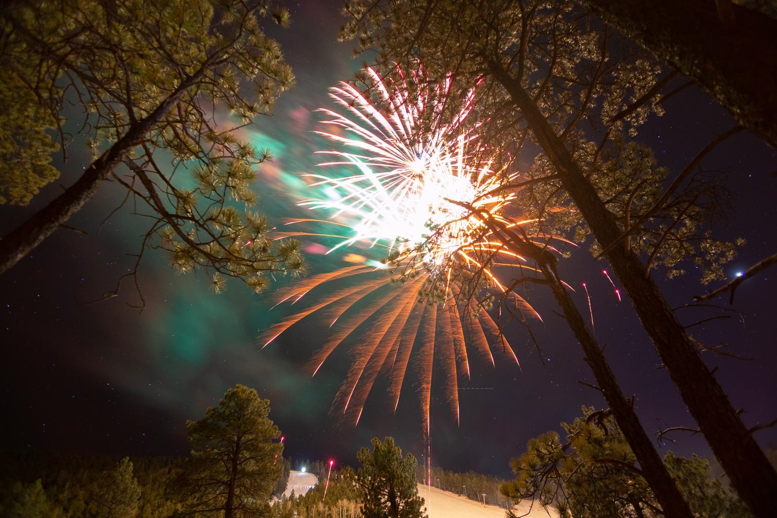 20 Five Springs #UNIT D3, Angel Fire, New Mexico image 34