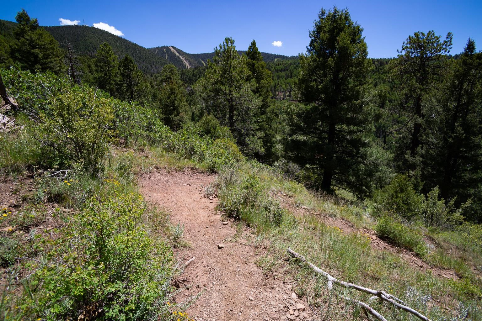 20 Five Springs #UNIT D3, Angel Fire, New Mexico image 31