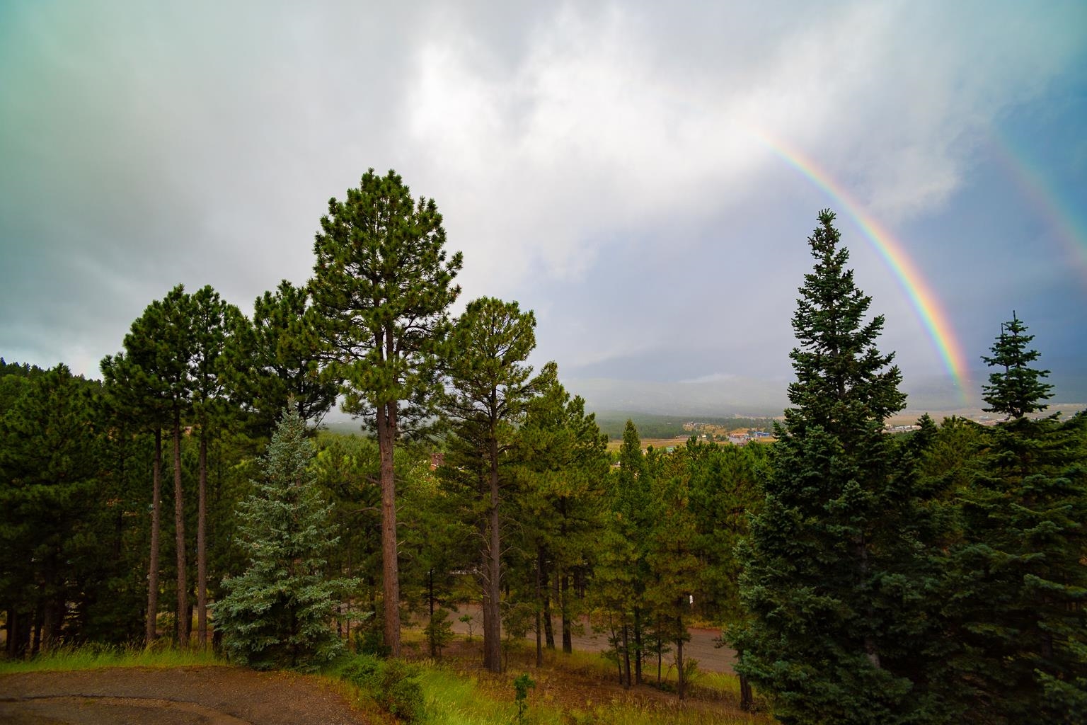20 Five Springs #UNIT D3, Angel Fire, New Mexico image 26