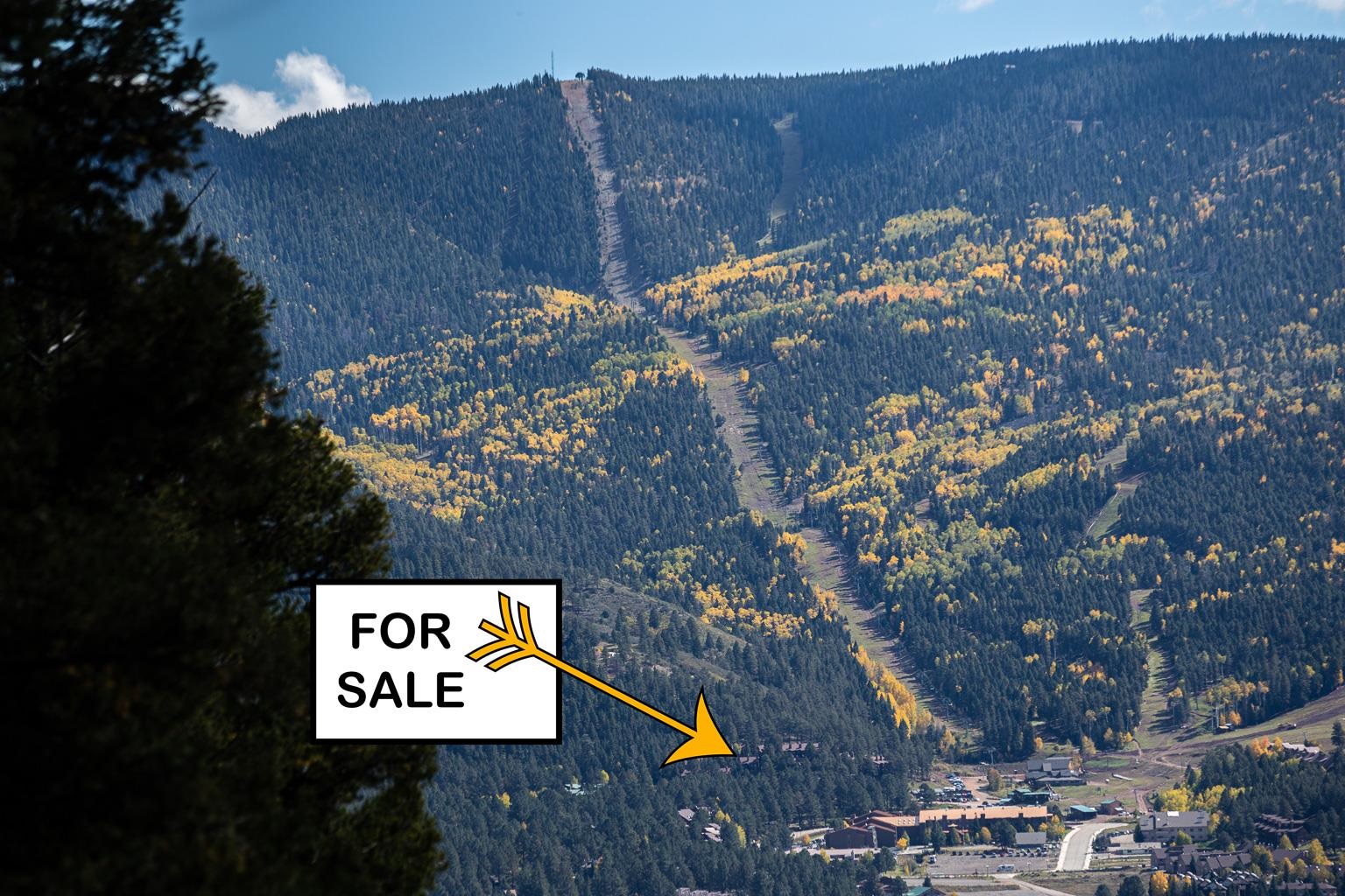20 Five Springs #UNIT D3, Angel Fire, New Mexico image 1